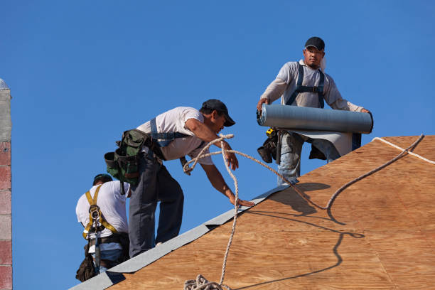 Best Roof Restoration Services  in Bull Run Mountain Estates, VA