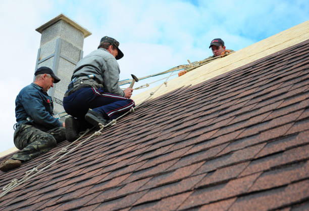 Best Roof Maintenance Services  in Bull Run Mountain Estates, VA